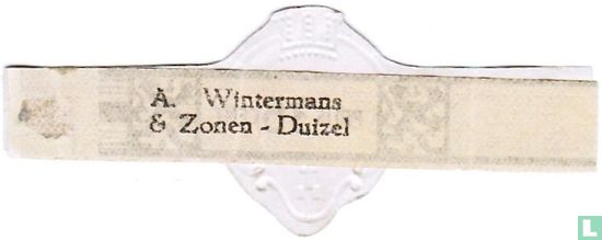 Prijs 36 cent - (Achterop: A. Wintermans & zonen - Duizel    - Bild 2