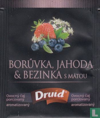 Boruvka, Jahoda & Bezinka - Image 1