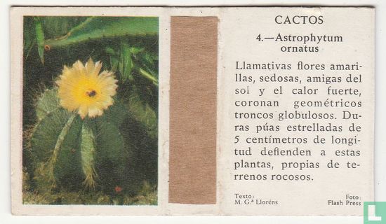 Astrophytum ornatus
