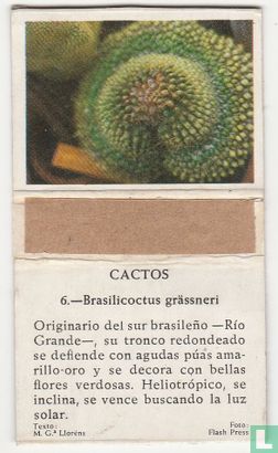 Brasilicoctus grässneri
