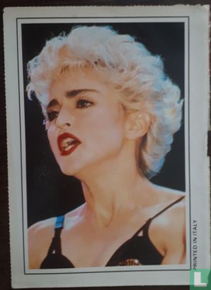 Madonna chantant en blonde - Afbeelding 1