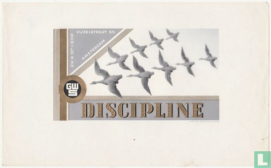 Discipline - Image 1