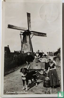 Zeeuwsche hondenkar - Image 1