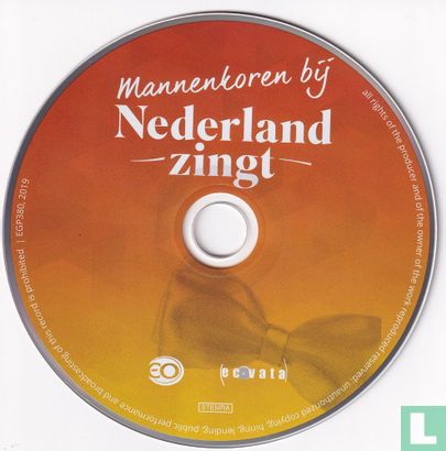 Mannenkoren bij Nederland zingt - Afbeelding 3
