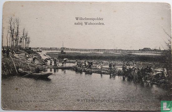Wilhelmuspolder nabij Walsoorden - Bild 1