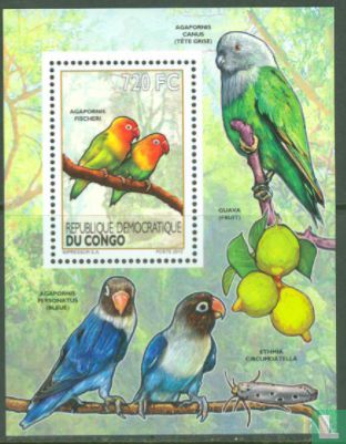 The Birds - Small Parrots