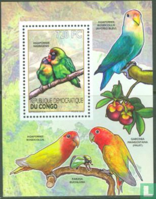 The Birds - Small Parrots