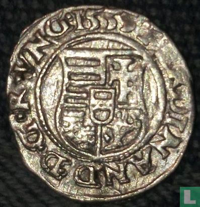Hongarije 1 denár 1553 - Afbeelding 1