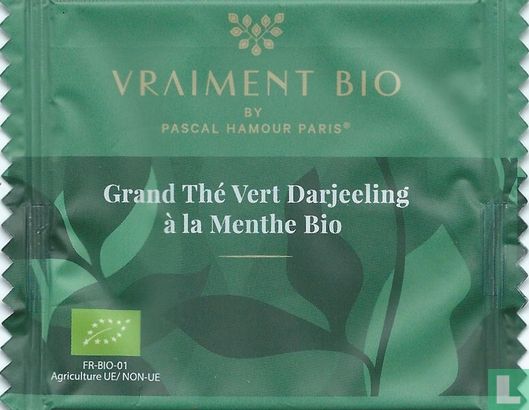 Grand Thé Vert Darjeeling à la Menthe Bio - Image 1
