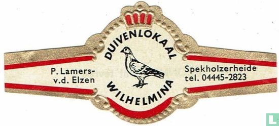Duivenlokaal Wilhelmina - P. Lamers-v.d. Elzen - Spekholzerheide tel. 04445-2823 - Afbeelding 1
