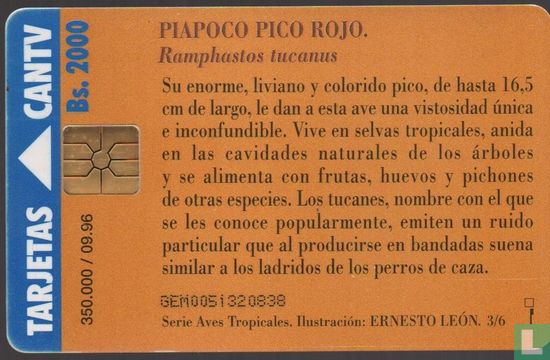 Piapoco Pico Rojo - Afbeelding 2