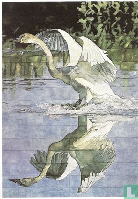 Trumpeter Swan - Afbeelding 1