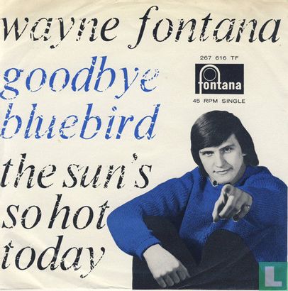 Goodbye Bluebird - Image 1
