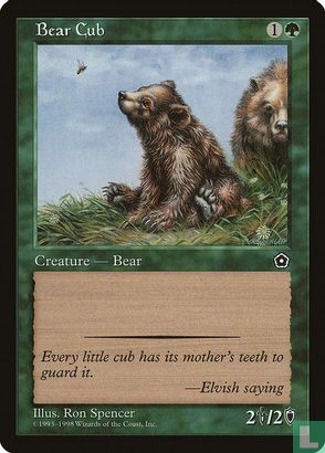 Bear Cub - Afbeelding 1