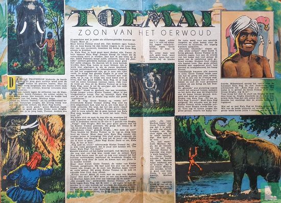 Toemai, zoon van het oerwoud - Image 1