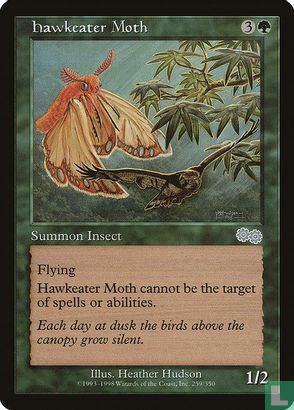 Hawkeater Moth - Afbeelding 1