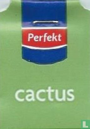 Perfekt Cactus - Image 1