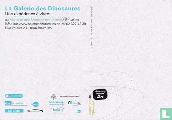 4096a - Muséum des Sciences naturelles "Galerie des Dinosaures" - Afbeelding 2