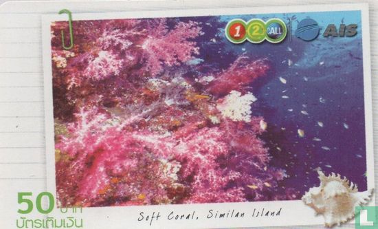 Soft Coral, Similan Island - Image 1