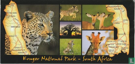 Kruger national park - Bild 1
