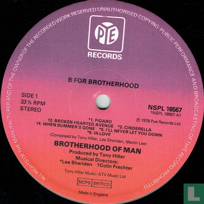 B for Brotherhood - Image 3