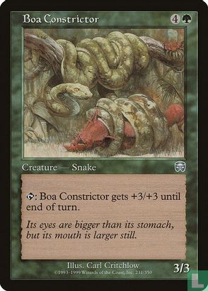 Boa Constrictor - Afbeelding 1