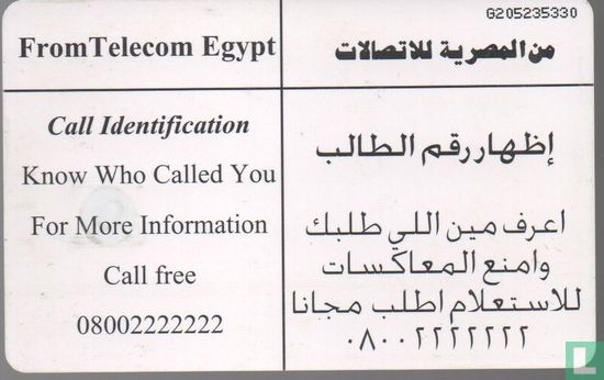 With You - Telecom Egypt - Afbeelding 2