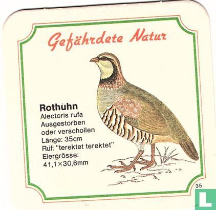 35 Rothuhn - Image 1