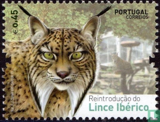 Re-introduction of the Iberian Lynx