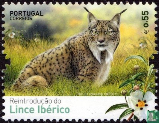 Herintroductie van de Iberische Lynx
