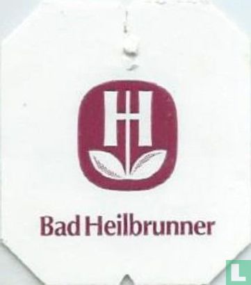 H Bad Heilbrunner - Guten - Abend 5-10 min 100 °C - Bild 2