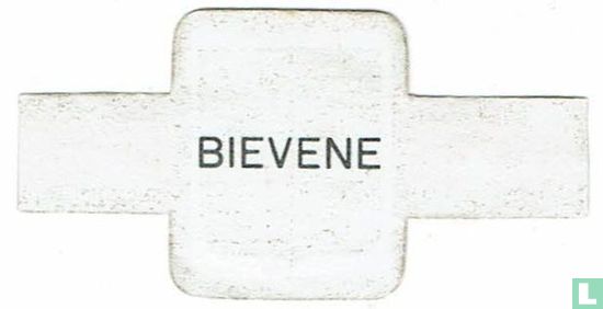 Bievene - Bild 2