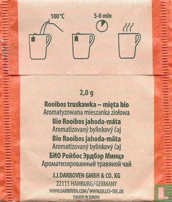 Rooibos Strawberry-Mint  - Image 2