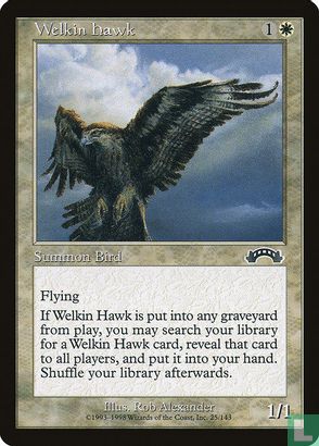 Welkin Hawk - Afbeelding 1