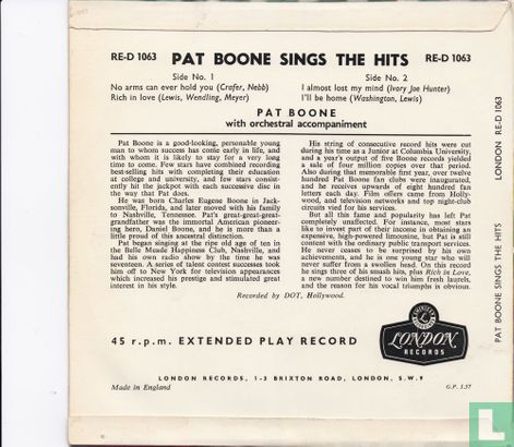 Pat Boone Sings the Hits - Afbeelding 2