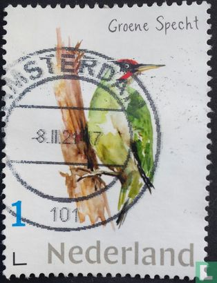 Dutch Woodpeckers - Green Woodpecker