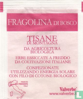 Fragolina di Bosco  - Bild 2
