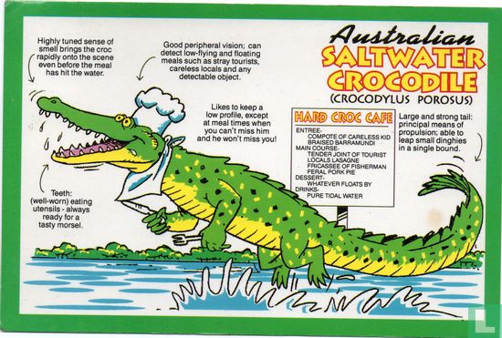 Australian Saltwater Crocodile - Bild 1