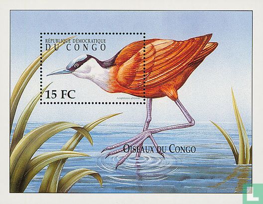 Inheemse vogels