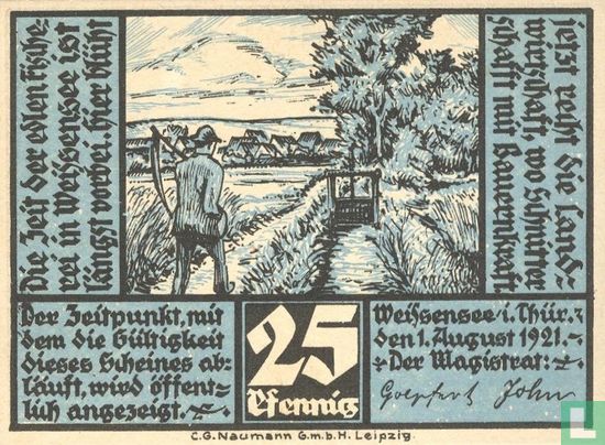 Weissensee 25 Pfennig - Bild 1