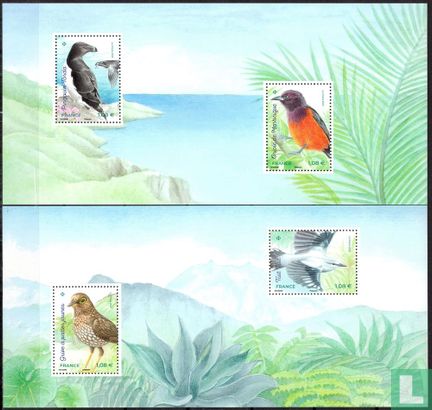 Island birds - Image 1