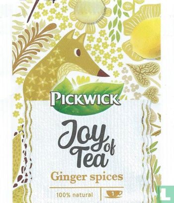 Ginger spices - Image 1