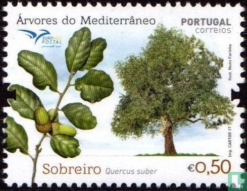 Bomen van het Middellandse Zeegebied