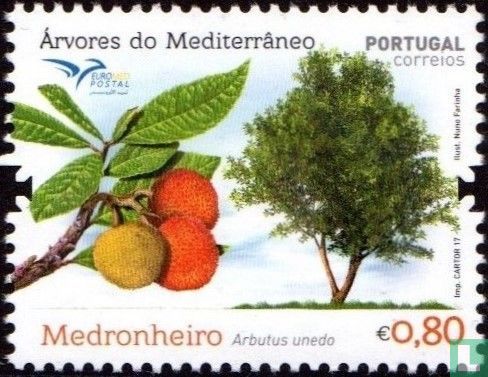 Bomen van het Middellandse Zeegebied