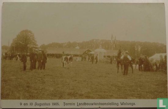 9 en 10 augustus 1905, Terrein Landbouwtentoonstelling Wolvega.