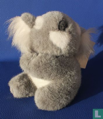 Koala - Bild 1