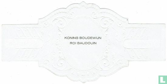 Koning Boudewijn - Afbeelding 2