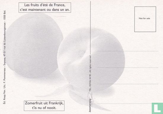 0604 - Fruits D'Été De France / Zomerfruit Uit Frankrijk - Image 2