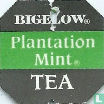 Plantation Mint ® - Image 1