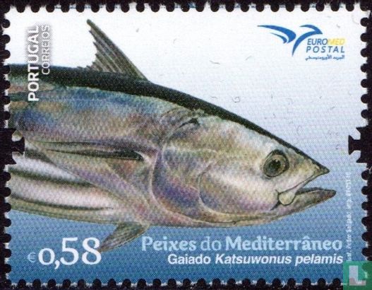 Fish from the Mediterranean